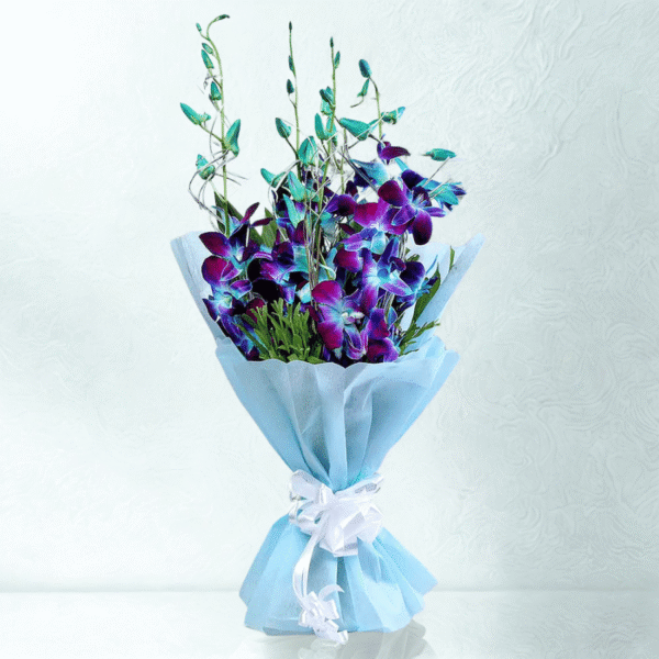 BFC 69 Happy Gift