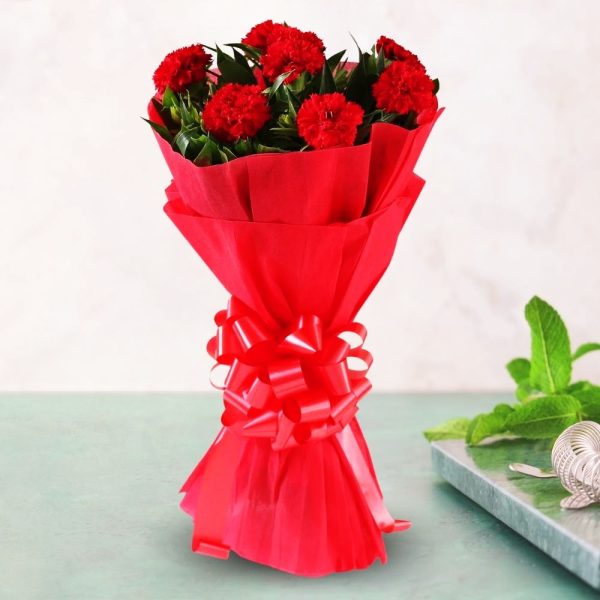 Carnations 18 2 Happy Gift