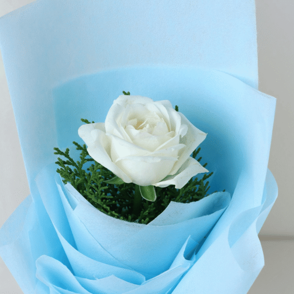 F 3 Happy Gift