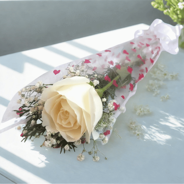 F 6 Happy Gift