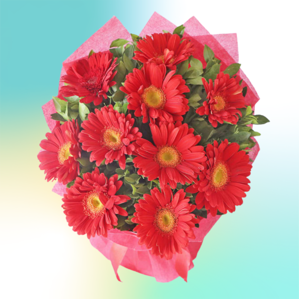 Gerberas 13 Happy Gift