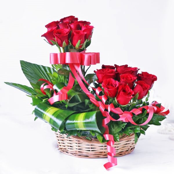NC 43 Happy Gift