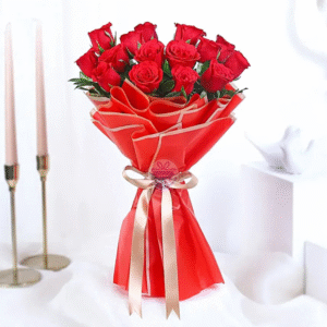 Velvety Red Rose Romance