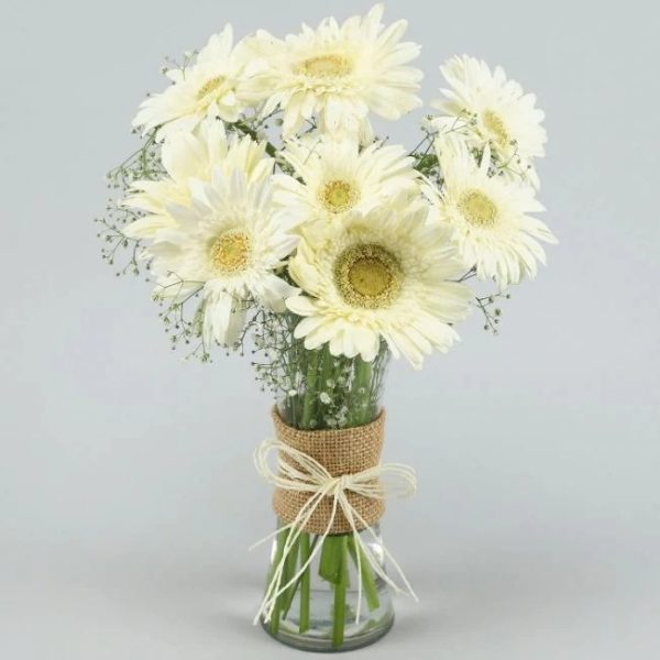 White Gerberas in a Vase Happy Gift