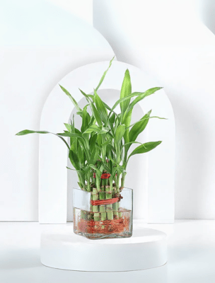 Best Sellers Happy Gift